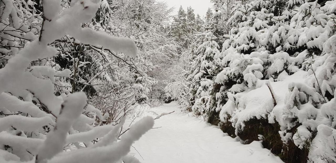 Podskali Adrspach Teplice nad Metuji Exterior photo